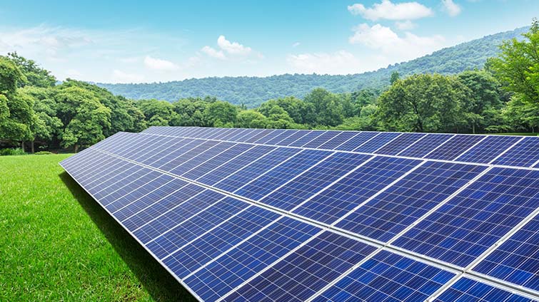 C.H. Robinson energy logistics market update